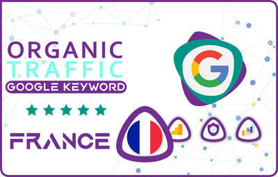 Buy France Organic Website Traffic